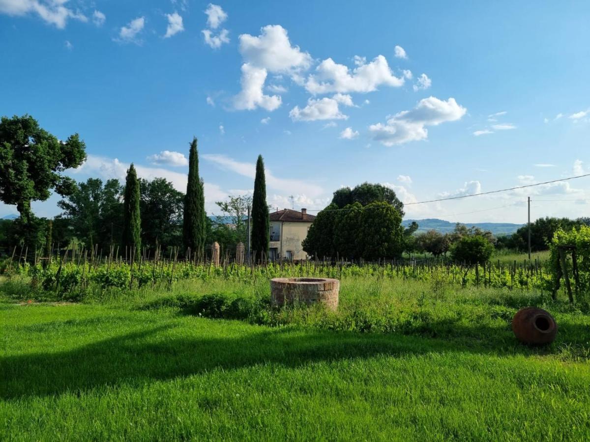 Fornace Del Conte Lejlighed Abbadia di Montepulciano Eksteriør billede