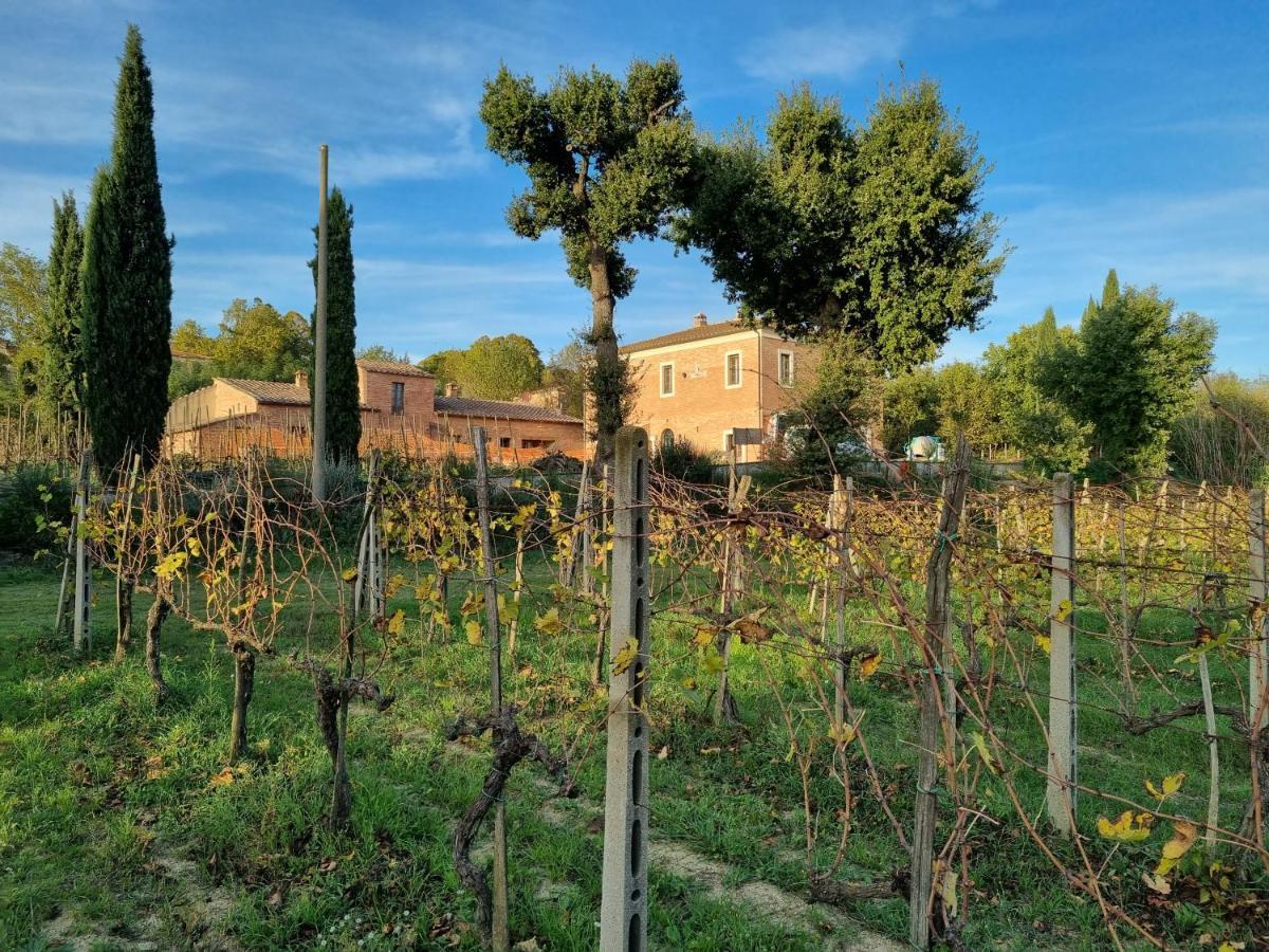 Fornace Del Conte Lejlighed Abbadia di Montepulciano Eksteriør billede