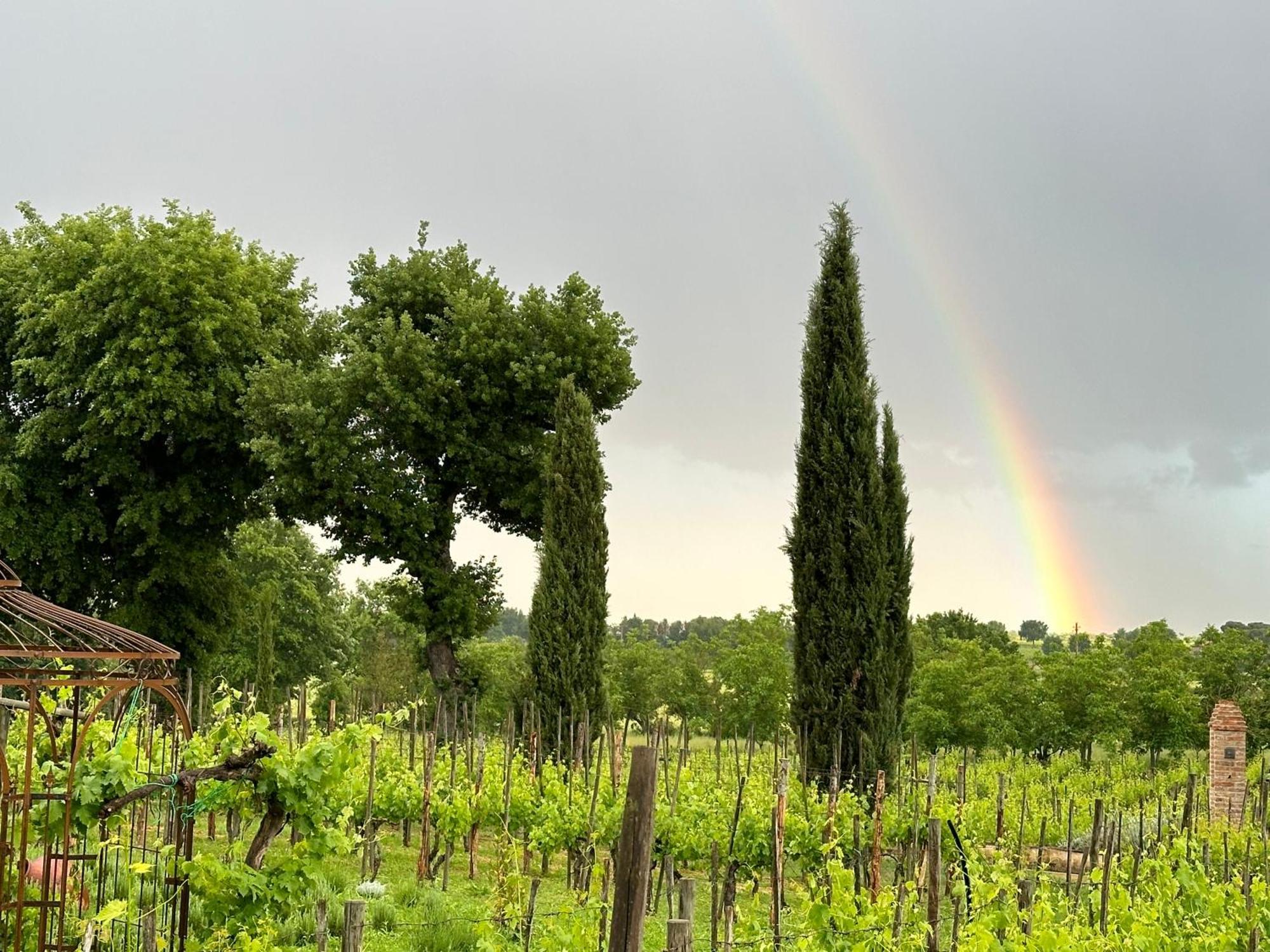 Fornace Del Conte Lejlighed Abbadia di Montepulciano Eksteriør billede