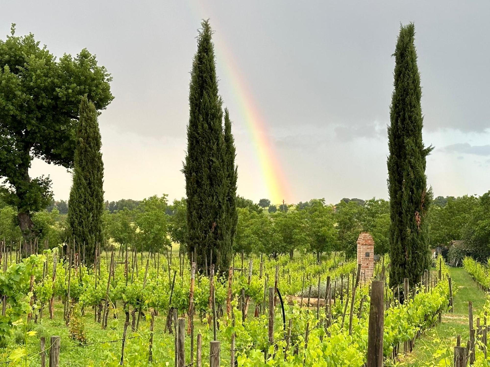 Fornace Del Conte Lejlighed Abbadia di Montepulciano Eksteriør billede