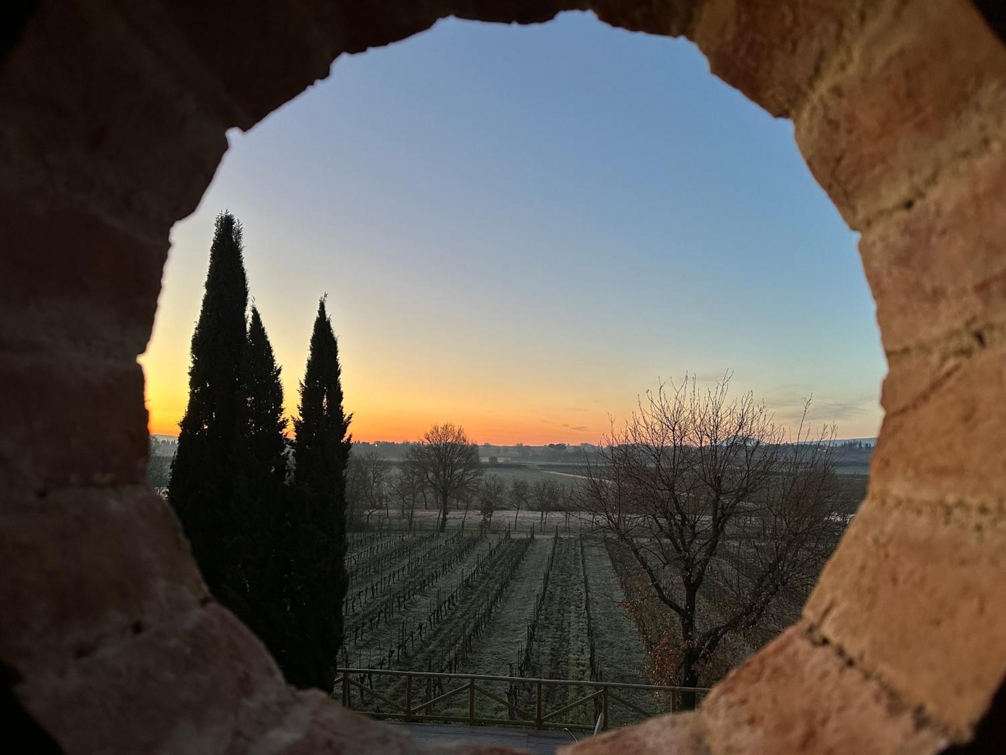 Fornace Del Conte Lejlighed Abbadia di Montepulciano Eksteriør billede