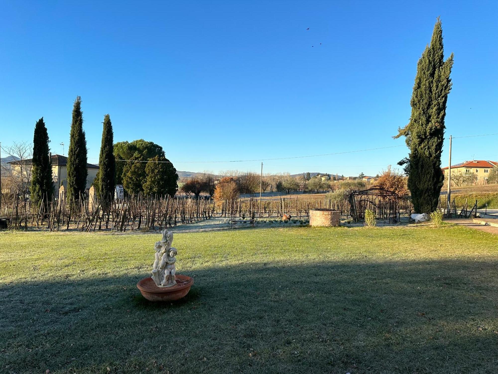 Fornace Del Conte Lejlighed Abbadia di Montepulciano Eksteriør billede