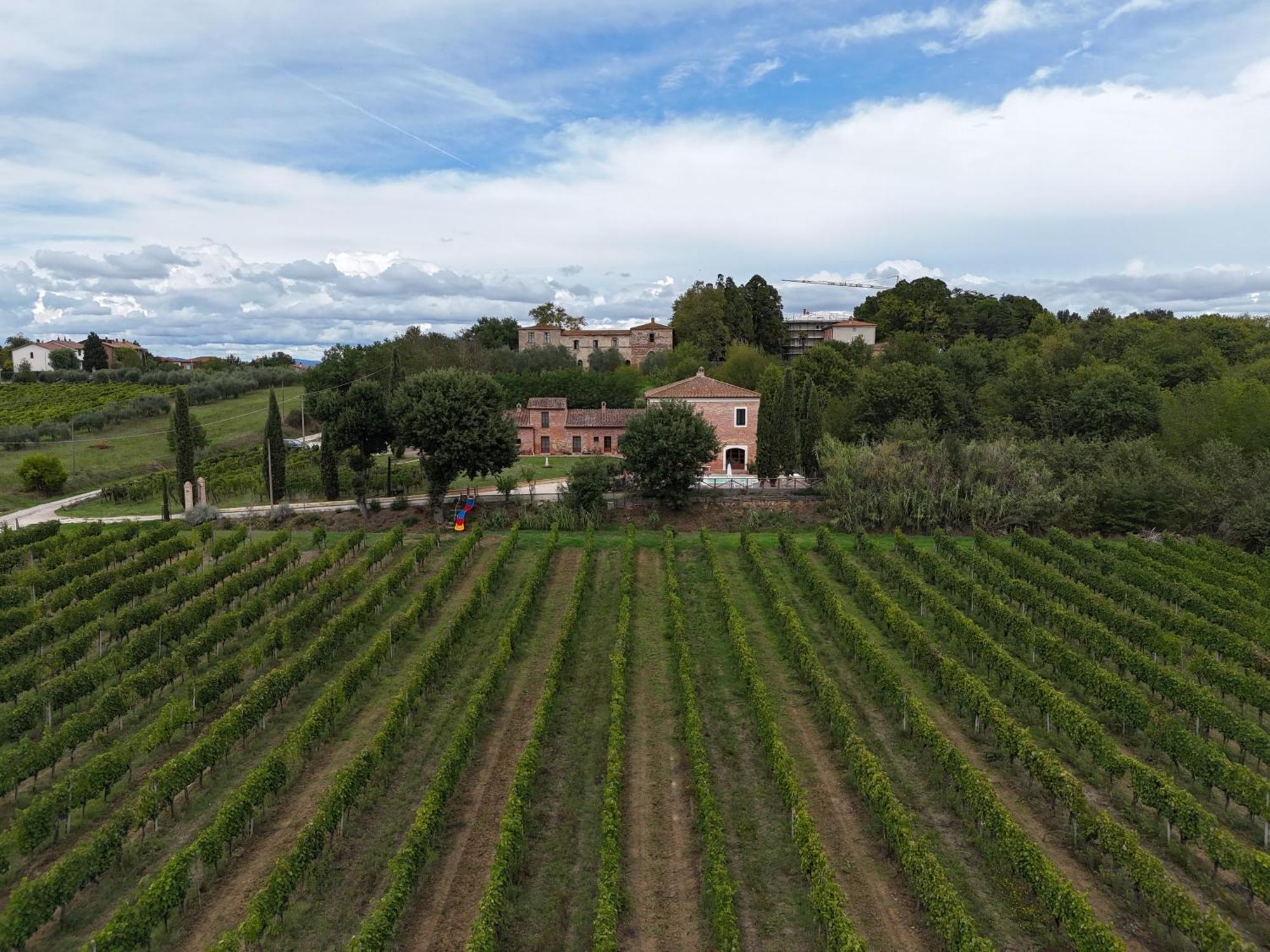 Fornace Del Conte Lejlighed Abbadia di Montepulciano Eksteriør billede